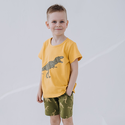 Изображение Костюм «Dino»